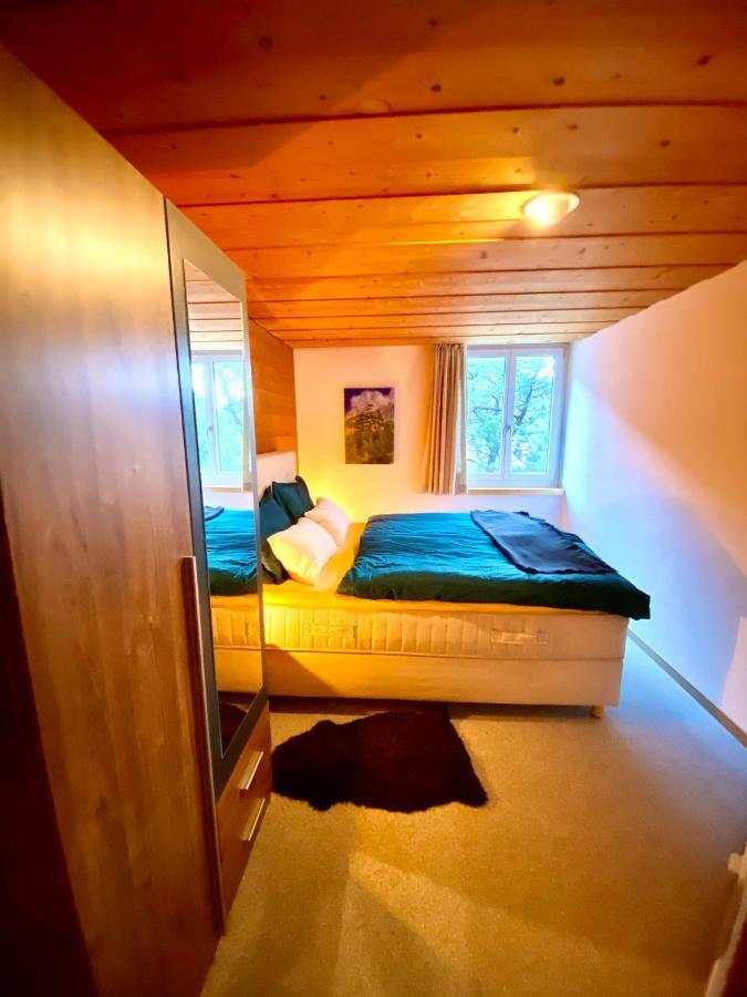 Appartement Aareschlucht- Grandiose Aussicht Fuer 2-6 Pers. Майринген Екстериор снимка