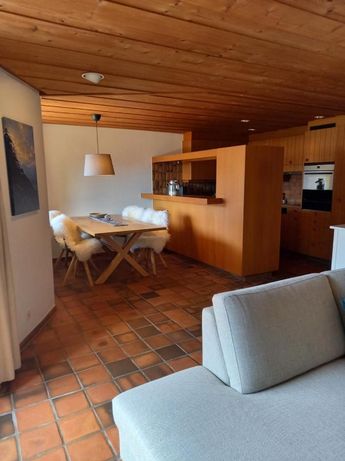 Appartement Aareschlucht- Grandiose Aussicht Fuer 2-6 Pers. Майринген Екстериор снимка